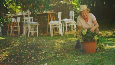 senior woman examining pot plant in garden