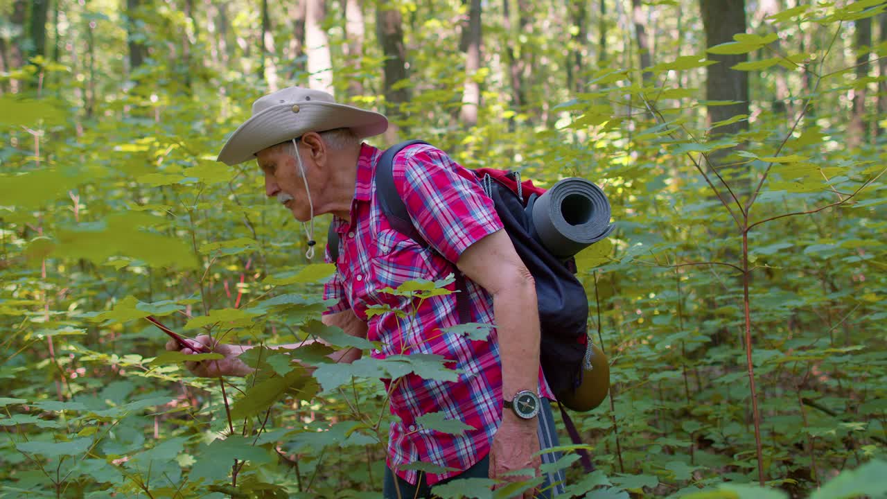 anciano retirado abuelo aventurero explorando árboles del bosque, plantas con teléfono inteligente en la madera
