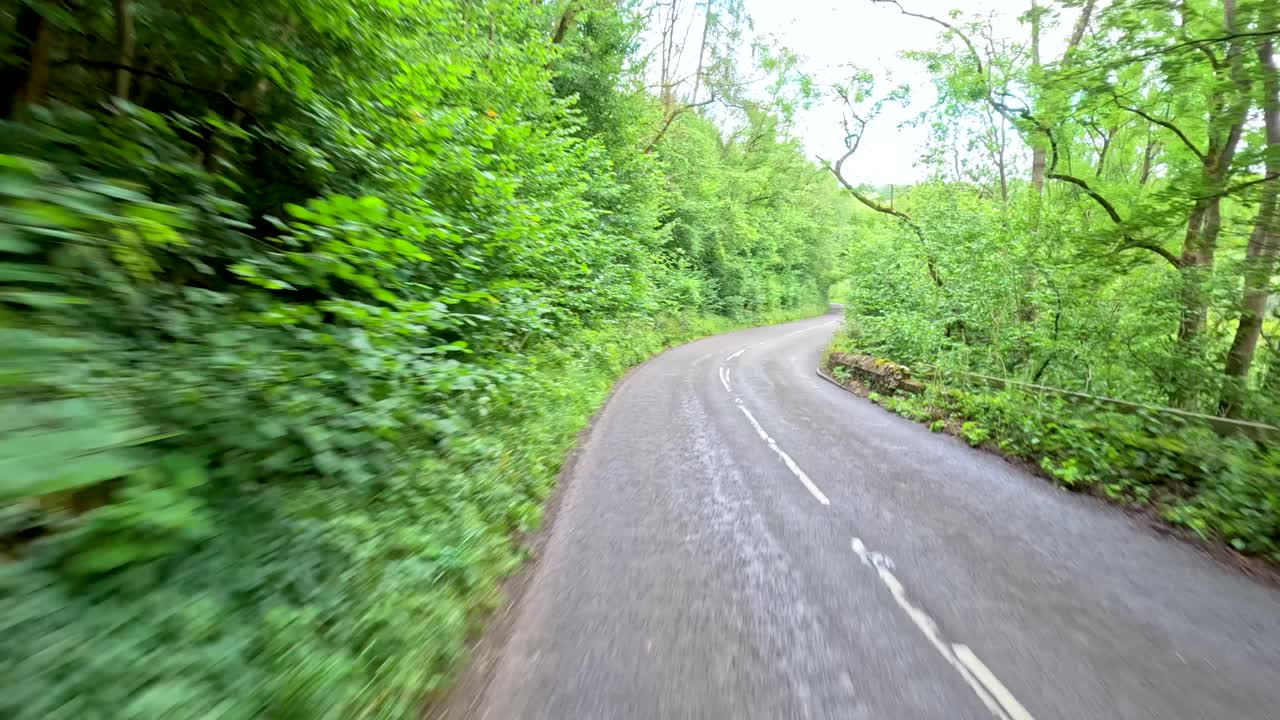 A vehicle travels a curving, tree-lined rural road through dense green forest under daylight, with smooth camera movement and a tranquil, natural atmosphere