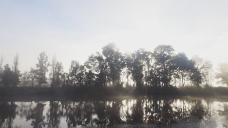 naturaleza, libertad y mañana con un lago