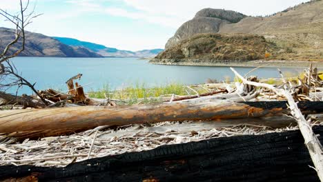 Verbrannte-Baumstämme-An-Den-Stränden-Des-Kamloops-Sees-An-Einem-Sonnigen-Tag-Im-Herbst