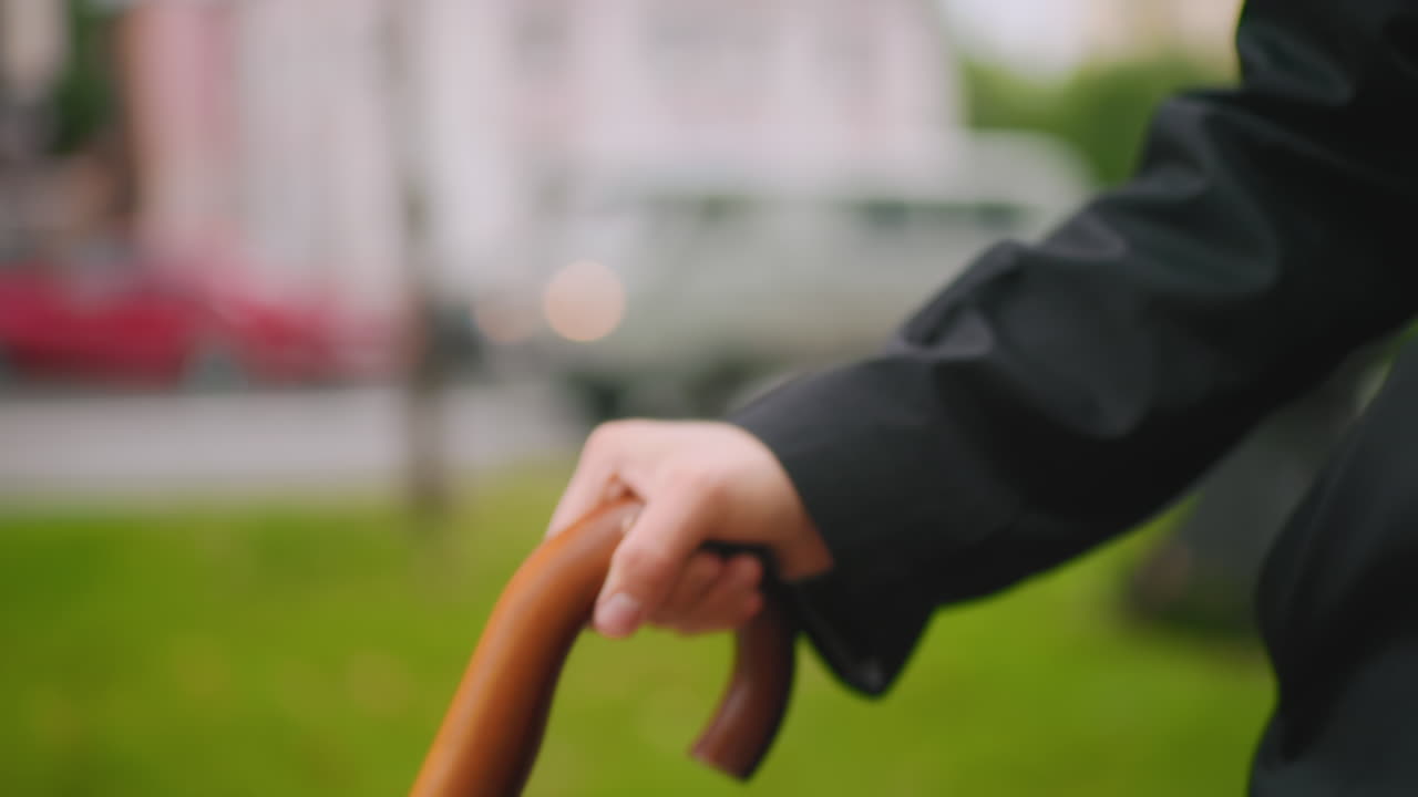 Close up of female hand holding wooden handle umbrella while wearing black trench coat, sleeve detail in focus, blurred urban background with cars and green trees showing outdoor autumn setting