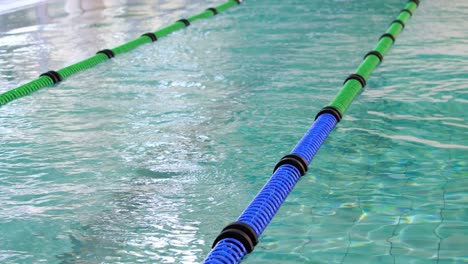 fit swimmer doing the front stroke in the swimming pool