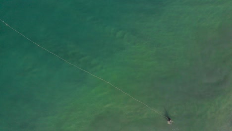 aerial top down view of fisherman collecting the string of the net laid over the surface of water in ocean