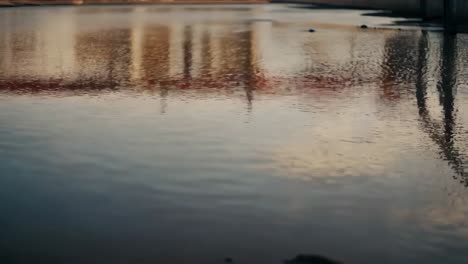 reflections of buildings in water at sunset