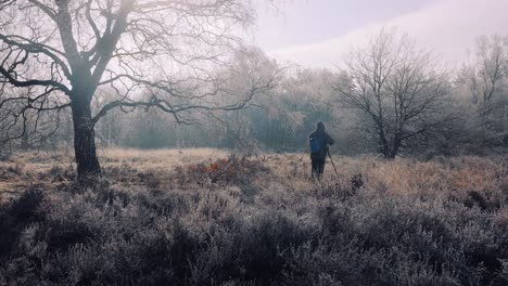 Slowmotion-hand-held-shot-of-a-man-enjoying-nature-at-the-Veluwe-National-Park