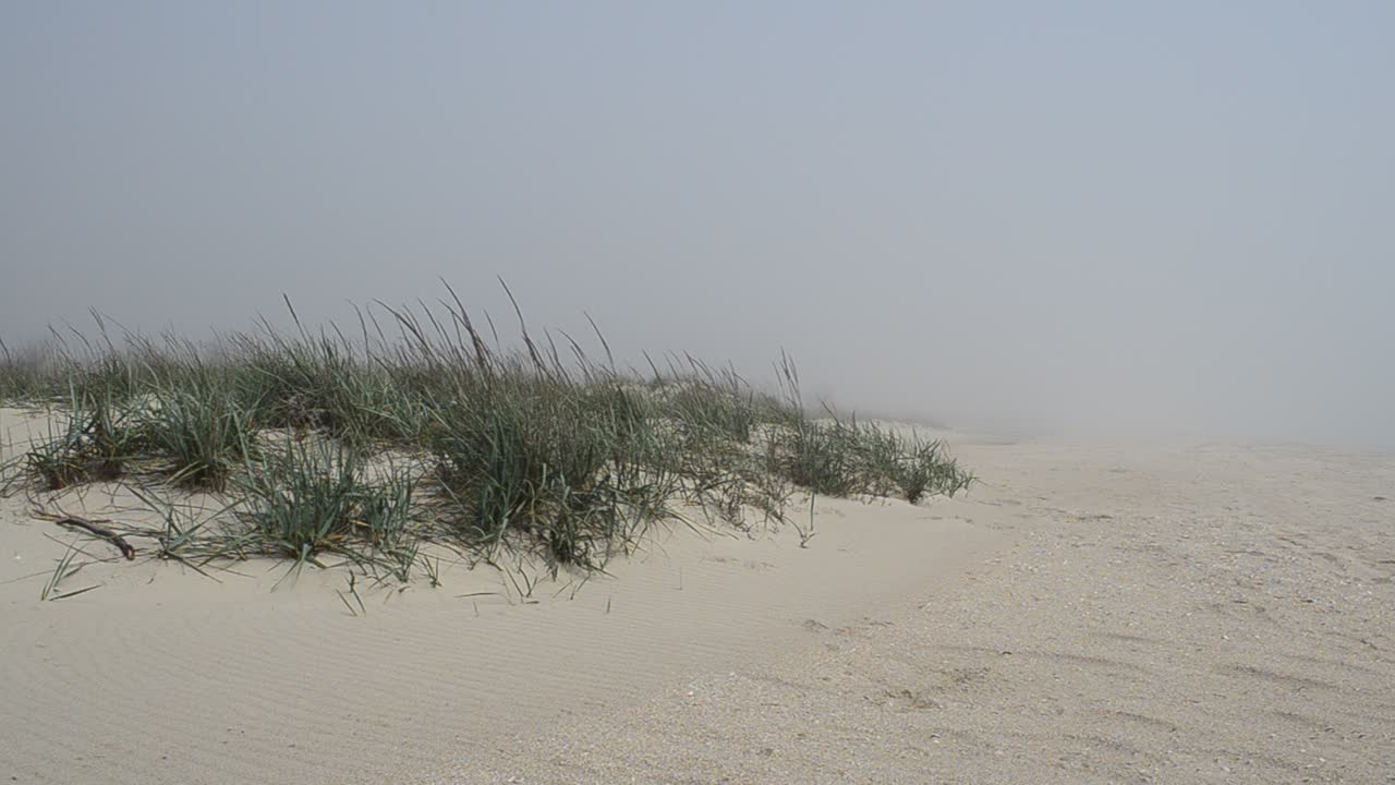 La spiaggia nella nebbia e le dune. Riprese sulla spiaggia