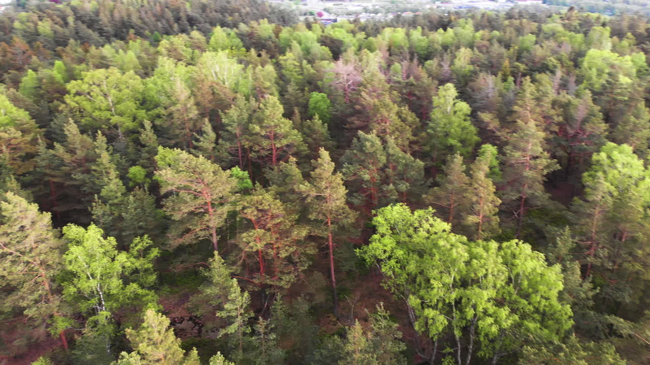 toma aérea de una granja agroforestal de árboles mixtos, hermoso paisaje montañoso con un pueblo cercano