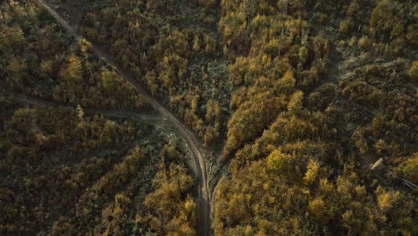 Der-Herbstwald-Leuchtet-Aus-Der-Vogelperspektive-Im-Sonnenlicht