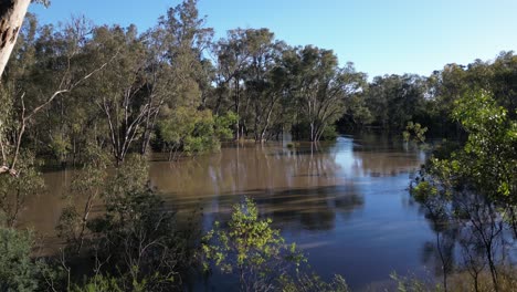 el río goulburn fue inundado por drones en victoria.