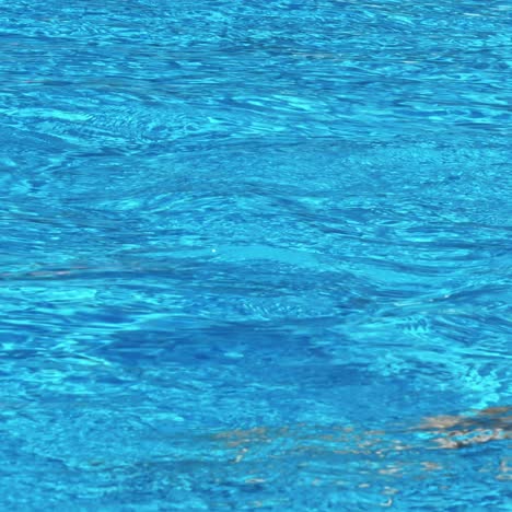 people sitting by the poolside of a resort swimming pool during summer holiday