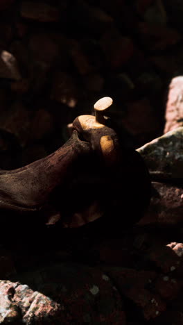 close up of a worn leather saddle