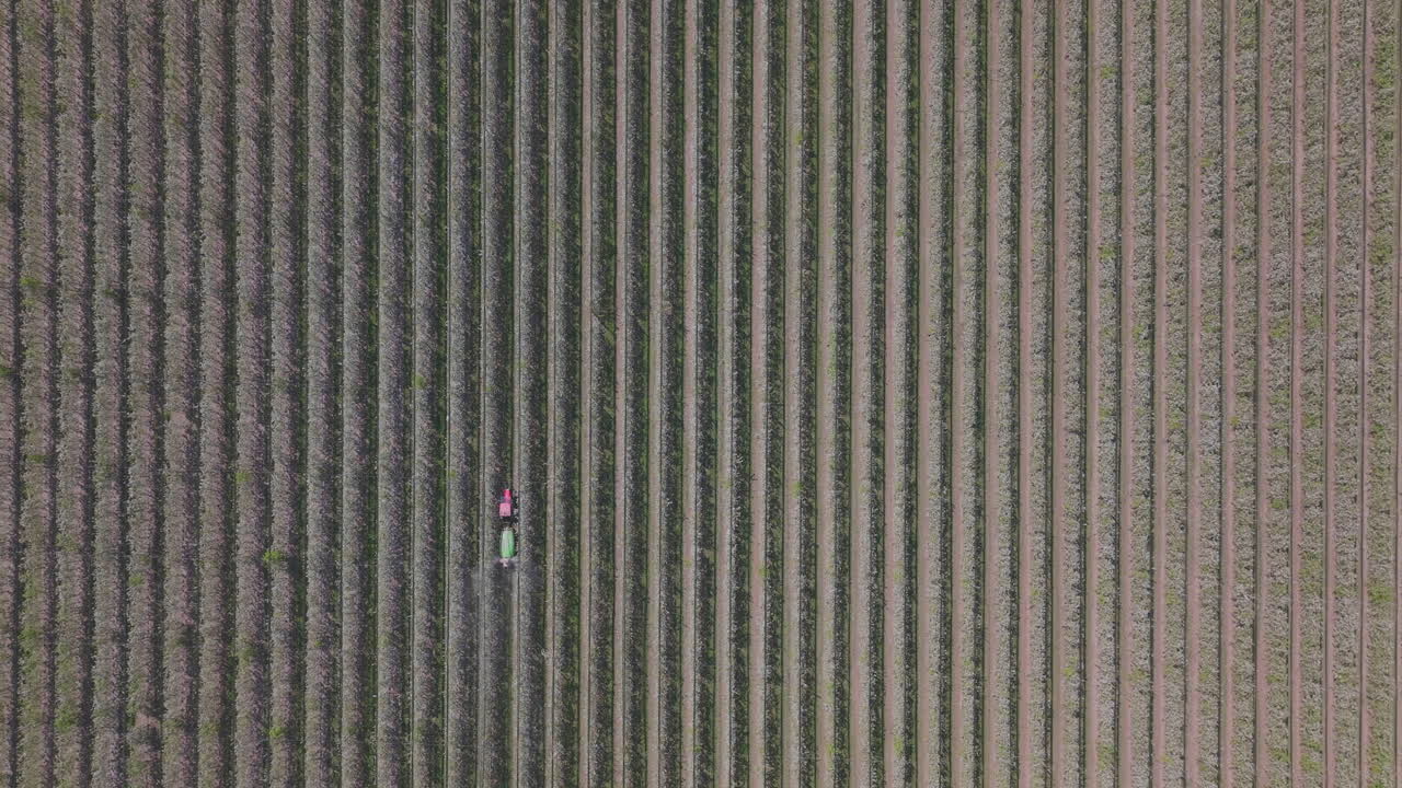 Aerial View of Farmland with Tractor