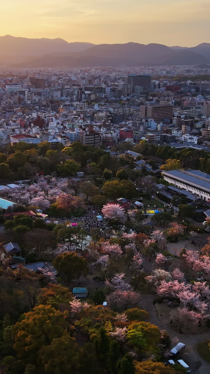 Aerial drone view of a temple surrounded by cherry blossom at sunset in Kyoto, Japan