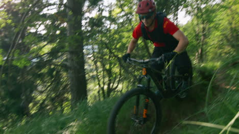 mountain biker in forest trail