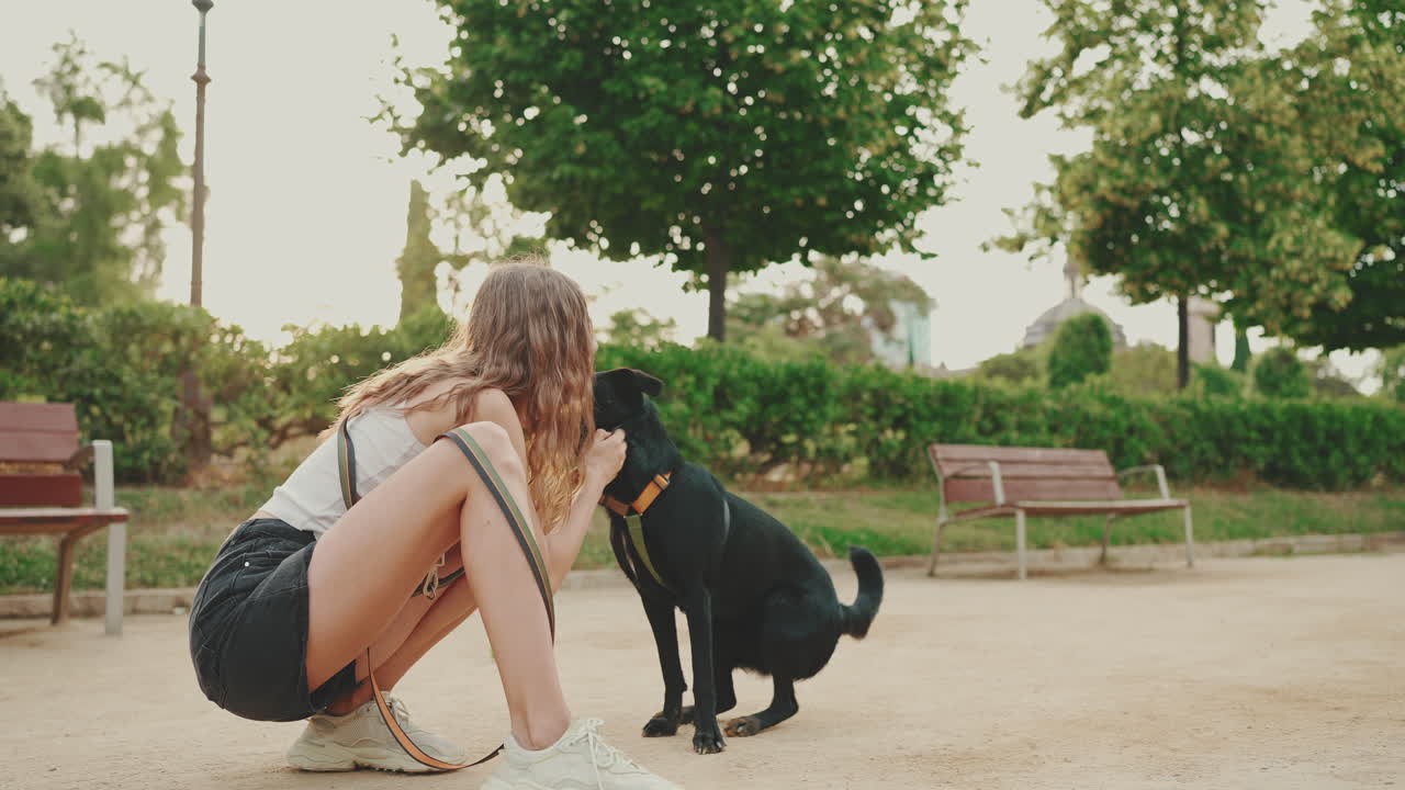 Woman playing with her dog in a park
