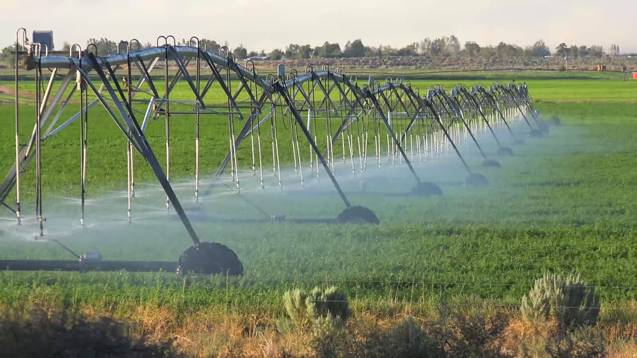 un sistema de rociadores industriales riega las tierras agrícolas de california durante una sequía 1