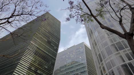 a slow motion low angle shot of three modern buildings in mexico city, and some trees in the foreground with some clouds in the blue sky