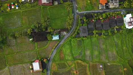 Amazing-cinematic-Ubud,-Bali-drone-footage-with-exotic-rice-terrace,-small-farms,-village-houses-and-agroforestry-plantation