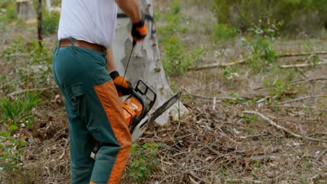 lumberjack using electric saw 4k