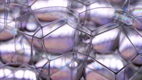 macro shot of colorful shiny bubbles and rainbow colors