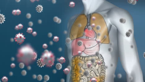 animation of falling viruses cells over human body model