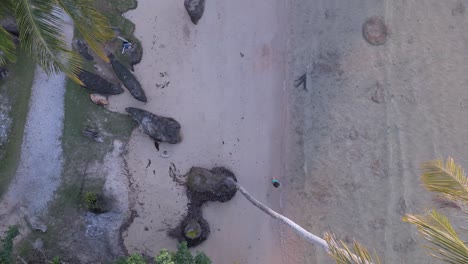 Mujer-Caminando-Sola-En-La-Playa-Bajo-Palmeras