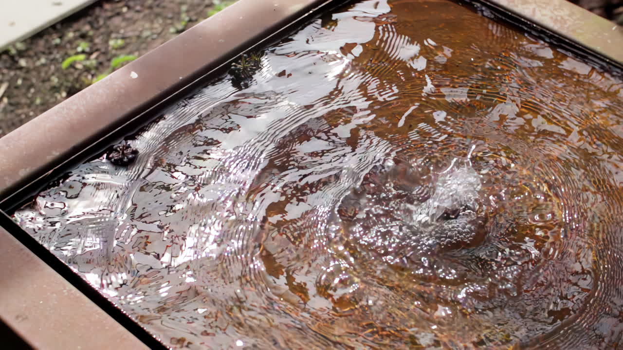 Närbild av vatten som bubblar och skapar krusningar i ett rostigt metallfat utomhus, som reflekterar naturligt ljus och omgivande element.