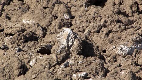 Close-up-of-typical-red-soil-in-dry-regions-of-California