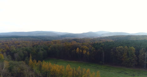 Volando-Sobre-El-Bosque-Forestal-Desde-Arriba-3