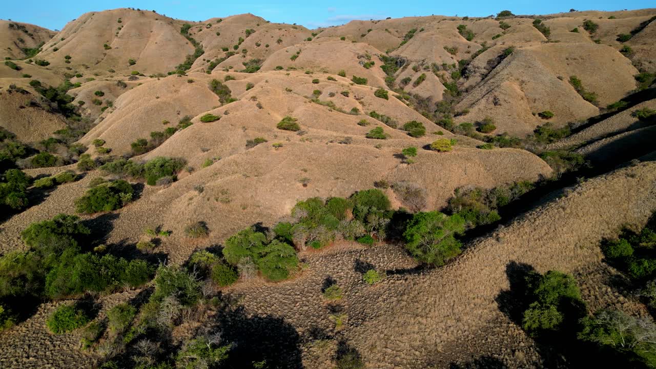 video de avión no tripulado sobre un paisaje seco y estéril con árboles verdes
