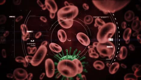 Animation-of-scope-scanning-over-covid-19-cells-floating