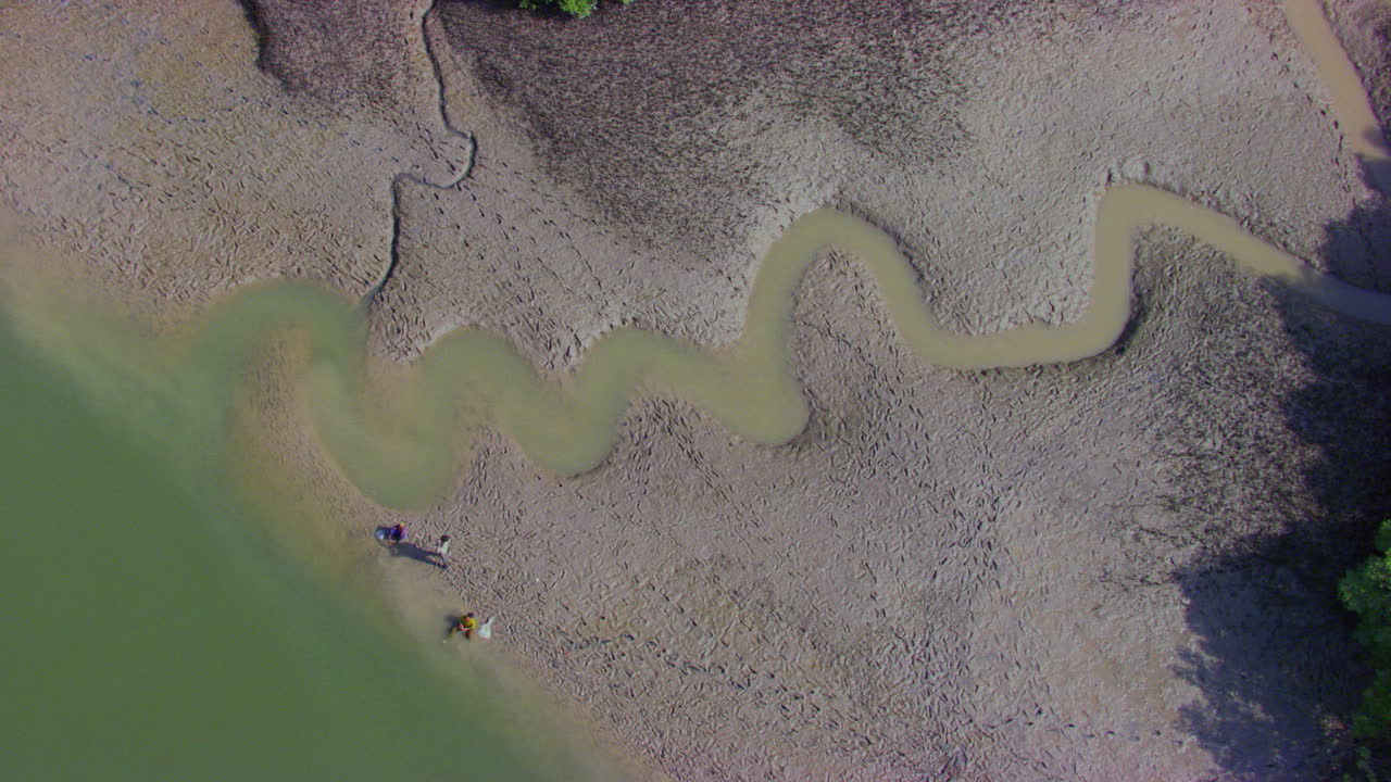 소년들이 맹그로브 숲의 모래와 진흙 지역에서 낚시를 하고 있다