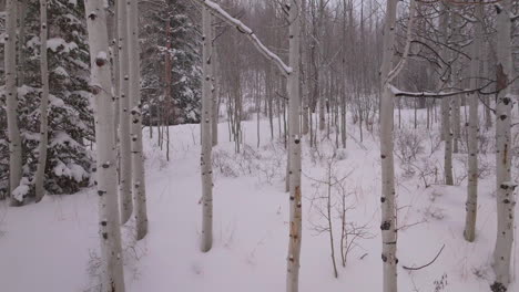 Snowing-snowy-winter-Aspen-forest-Snowmass-Pitkin-county-wilderness-aerial-drone-Rocky-Mountains-Colorado-Basalt-Carbondale-Sopris-Maroon-Bells-Ashcroft-Independence-Pass-slowly-slide-left-motion