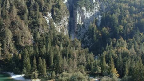 Vista-Aérea-De-Un-Bosque-De-Pinos-Bajo-Un-Acantilado-Rocoso