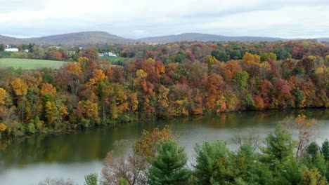 Schichten-Der-Herbstlaublandschaft