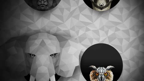 collection of different animals. zoo symbol. low polygon icons. lion, gorilla, zebra, raccoon, fox, elephant, deer, owl. geometric loop animation set.