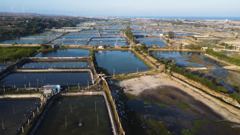 water ponds and industrial buildings for shrimp farming in vietnam, aerial side fly view