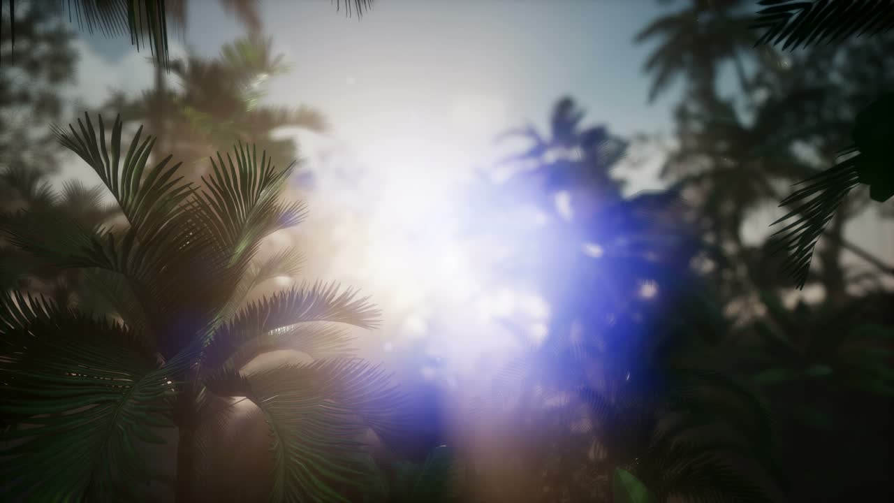 ⁇ 나무 를 가로지르는 해 가 지는 광선