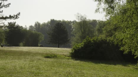 Disparo-Lento-A-Través-Del-Campo-Con-Diferentes-Tipos-De-árboles,-Incluidos-Bancos-De-Parque-Y-Mesa-De-Picnic