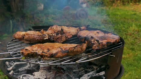 Primer-Plano-De-La-Parrilla-De-Barbacoa