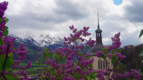 church tower in gruyères, switzerland, with lilacs on the foreground and snowy mountains on the background