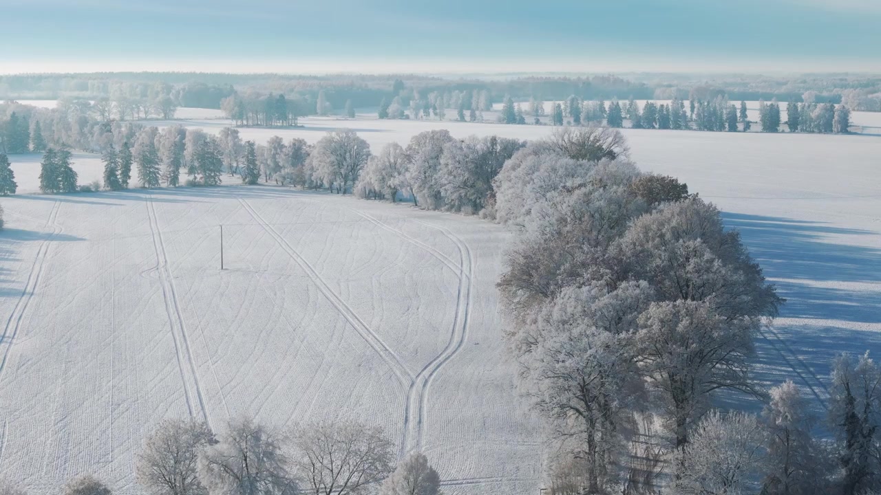Zapierające dech w piersiach ujęcie z lotu ptaka minimalistycznego zimowego krajobrazu z drzewami pokrytymi szronem, polami zasypanymi śniegiem i cichą wiejską drogą. Idealne do podróży sezonowych i filmów przyrodniczych