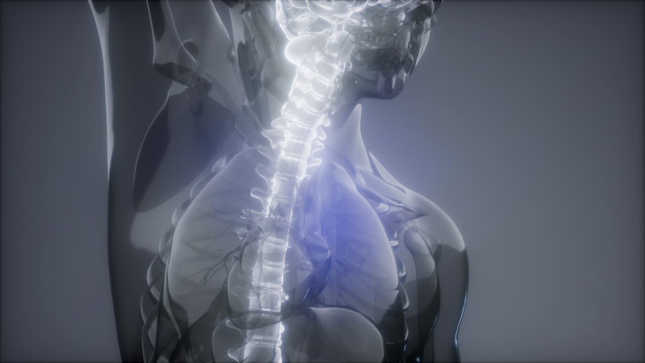 허리  ⁇ 에 허리 통증