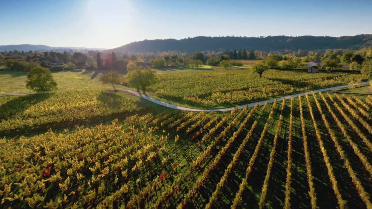 Ampio panorama aereo di una vasta tenuta vinicola nel Lot e Garonna. Il sole del tardo pomeriggio illumina le estese file di viti che si estendono fino all'orizzonte.