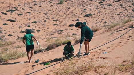 volunteers planting trees in the desert