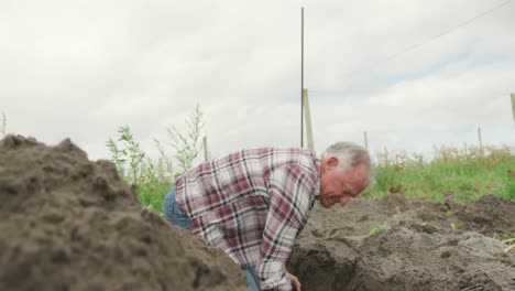 hombre maduro trabajando en una granja