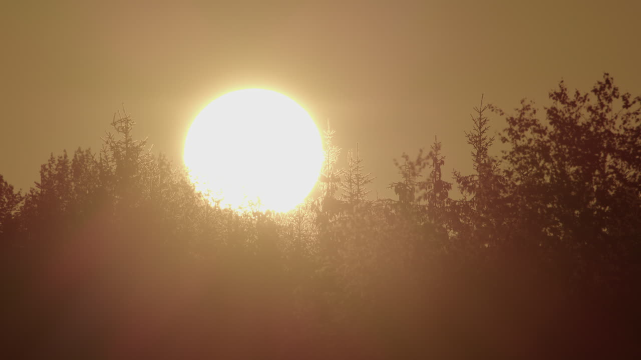 A large sun rises behind silhouetted treetops in Dalarna, Sweden