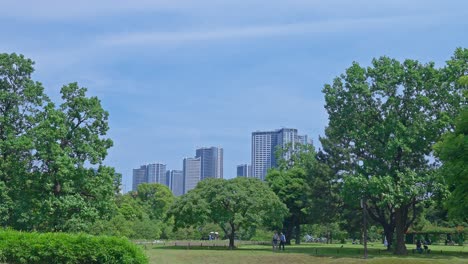 beautiful japanese traditional garden with skyscrapers tokyo