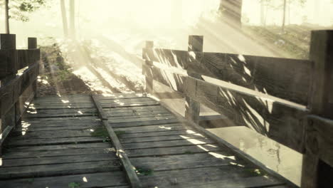 houten trappen in het bos verdwenen in de dikke mist.